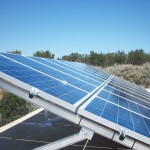 Παπαδακης Μανος2