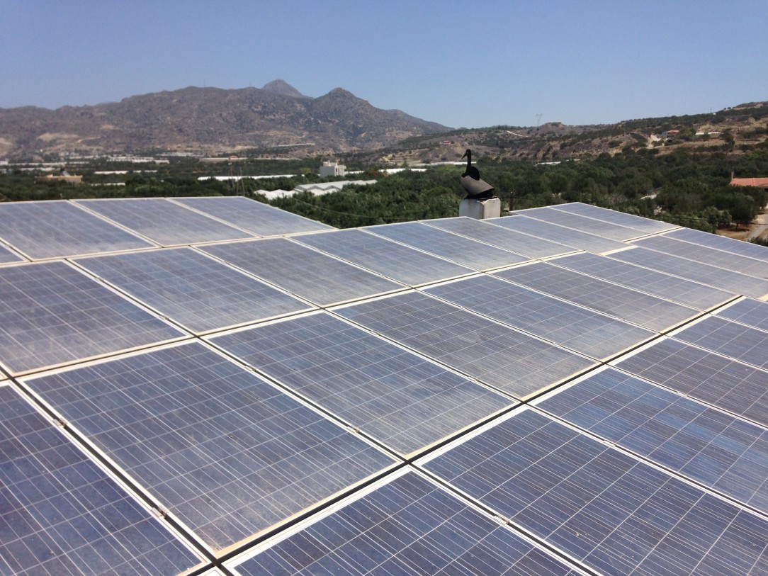 Ζυγακης Γιωργος